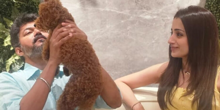 விஜய்க்காக த்ரிஷா போட்ட பதிவு.. வைரலாகும் போட்டோவை பாருங்க