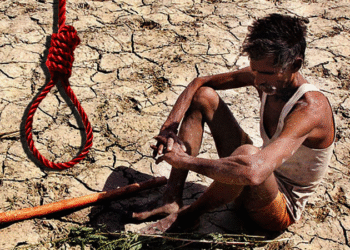 கர்நாடகாவில் அதிர்ச்சி: கடந்த 16 மாதங்களில் 981 விவசாயிகள் தற்கொலை