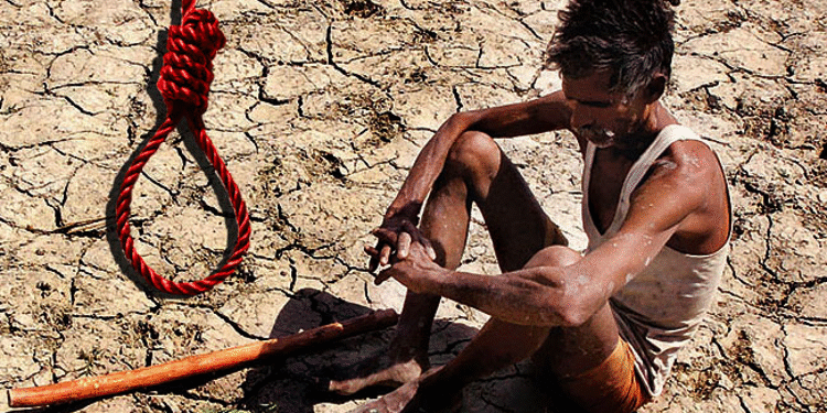 கர்நாடகாவில் அதிர்ச்சி: கடந்த 16 மாதங்களில் 981 விவசாயிகள் தற்கொலை