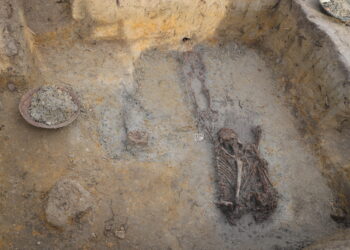 செம்மணி மனித புதைகுழி அகழ்வுக்கு 11.7 மில்லின் ரூபா நிதி ஒதுக்கீடு : இதுவரை 72 எலும்புக்கூடுகள் கண்டுபிடிப்பு !