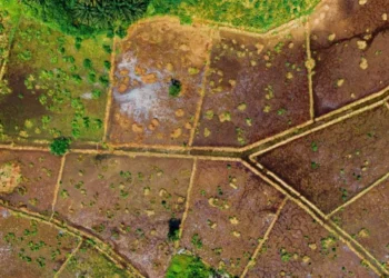 வவுனியாவில் 25ஆயிரம் ஏக்கர் காணி விடுவிப்புபணி ஆரம்பம்! – திலகநாதன்