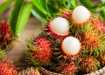 ரம்புட்டான் பழங்களினால் இடம்பெறும் விபத்துக்களின் எண்ணிக்கை அதிகரிப்பு!