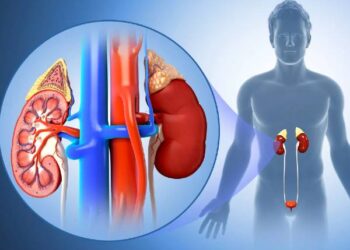 சிறுநீரக நீர்க்கட்டி பாதிப்பிற்குரிய சிகிச்சை