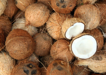 தேங்காய் விலையில் வீழ்ச்சி !