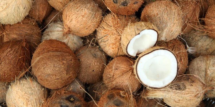 தேங்காய் விலையில் வீழ்ச்சி !