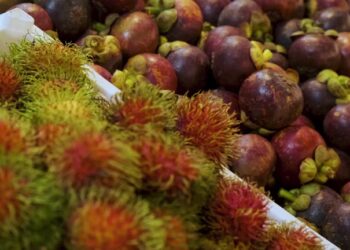 அம்பாறை மாவட்டத்தில் ரம்புட்டான், மங்குஸ்தான் பழங்கள் விற்பனை அமோகம்