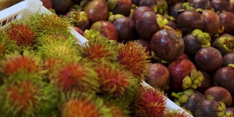 அம்பாறை மாவட்டத்தில் ரம்புட்டான், மங்குஸ்தான் பழங்கள் விற்பனை அமோகம்