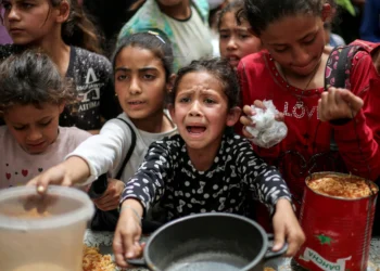 காசாவில் உணவு குடிநீர் போன்றவற்றை பெற முயலும் சிறுவர்கள் கூட கொல்லப்படுகின்றனர் – உலக நாடுகள் கடும் கண்டனம் – யுத்தத்தை நிறுத்துமாறு வேண்டுகோள்