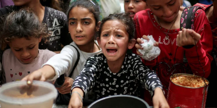 காசாவில் உணவு குடிநீர் போன்றவற்றை பெற முயலும் சிறுவர்கள் கூட கொல்லப்படுகின்றனர் – உலக நாடுகள் கடும் கண்டனம் – யுத்தத்தை நிறுத்துமாறு வேண்டுகோள்