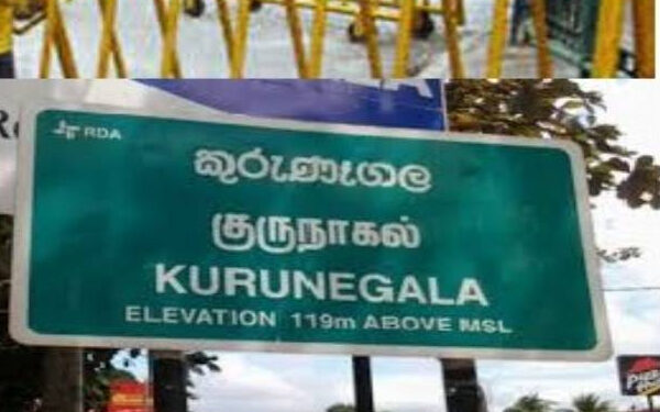 குருணாகல் மாநகர சபை ஏற்பாட்டில் புரவர நடமாடும் சேவை திட்டம்