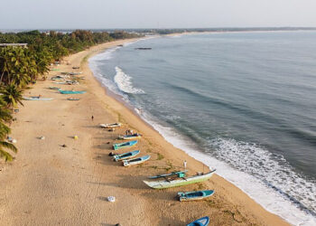 ‘ அறுகம் குடா இலங்கையில் இருக்கின்றதென நான் நினைத்தேன் ஆனால் அது இஸ்ரேலின் டெல் அவிவ் போல காணப்படுகின்றது” : சமூக ஊடகத்தில் அவுஸ்திரேலிய டிஜே அதிர்ச்சி