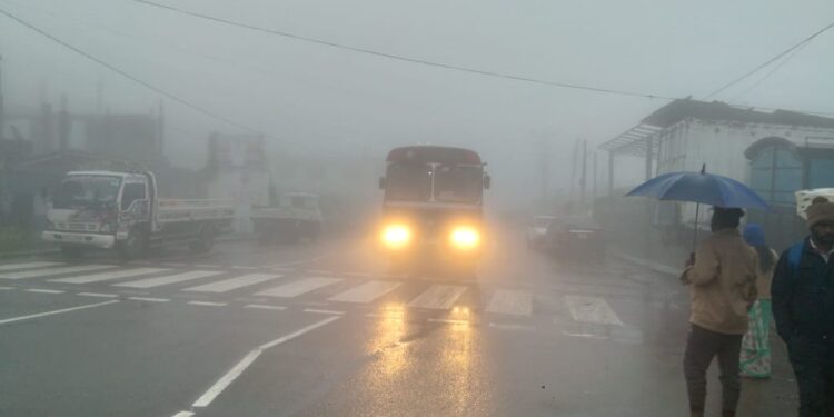 நுவரெலியாவில் கடும் பனிமூட்டம் : சாரதிகள் அவதி!