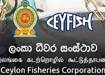 இலங்கை கடற்றொழில் கூட்டுத்தாபனத்தை மூடமாட்டோம் : பிரதி அமைச்சர்