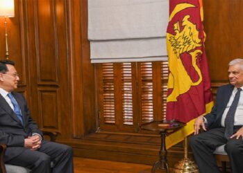 ரணில் விக்ரமசிங்கவை சந்தித்த சீனத் தூதுவர்