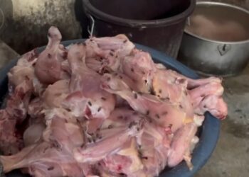 மன்னாரில் ஈ சிக்கன்