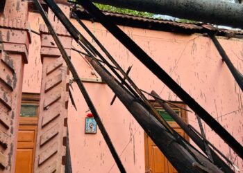 வீட்டின் மேல் விழுந்த பனைமரம்!