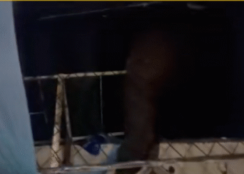 மருத்துவமனையை சேதப்படுத்திய யானை!