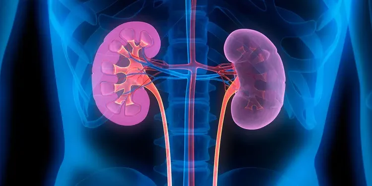 உயிரைக் காவு கொள்ளும் சிறுநீரக நோய்!