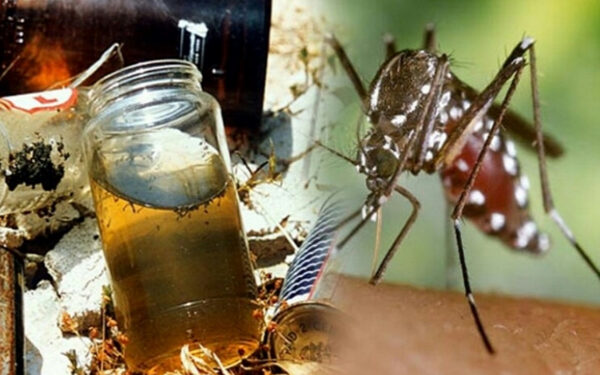 தீவிரமாகும் டெங்கு விழிப்புணர்வு நடவடிக்கைகள்