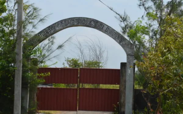 50 நாட்களை எட்டிய செம்மணி அகழ்வுகள்