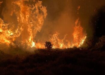 மொனராகலையில் தீப் பரவல்!