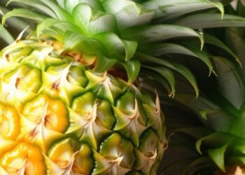 அன்னாசிப் பழத்தில் இவ்வளவு நன்மையா!