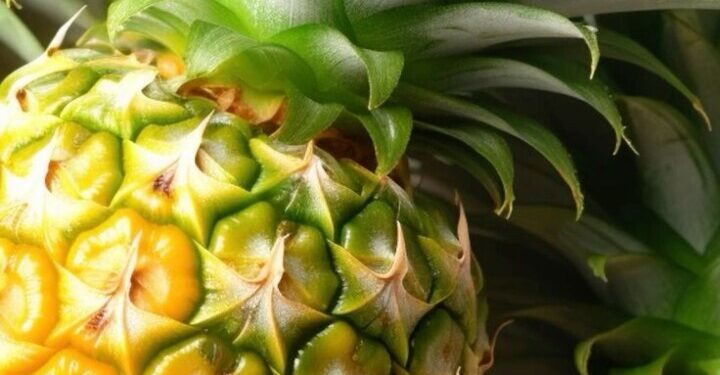 அன்னாசிப் பழத்தில் இவ்வளவு நன்மையா!