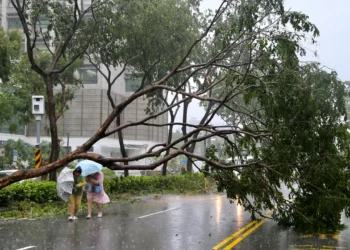 தாய்வானில் சூறாவளி