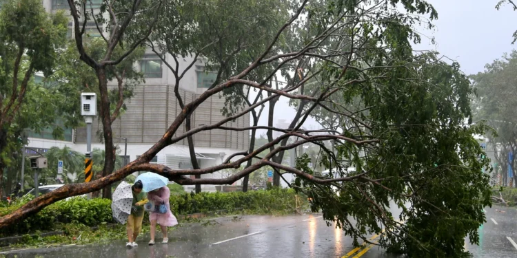 தாய்வானில் சூறாவளி