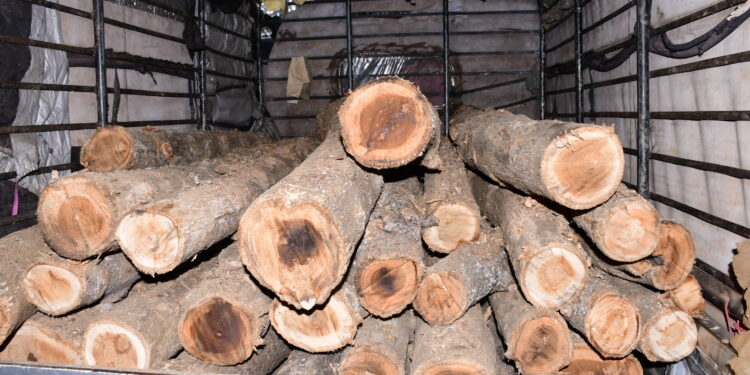 சட்ட விரோதமாக மரக்குற்றிகளை ஏற்றிச் சென்றவர் கைது!