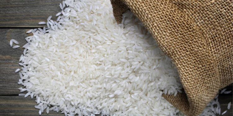 கீரி சம்பாவிற்கு தட்டுப்பாடு!