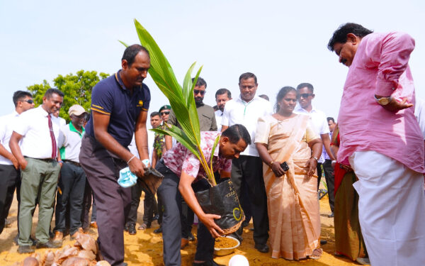 ஜனாதிபதியால் ஆரம்பிக்கப்பட்ட தென்னந் தோட்டம்