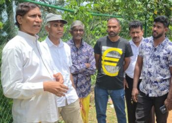 காணி உரிமை உட்பட அடிப்படை உரிமைகளை பாதுகாக்க தேசிய மக்கள் சக்தி நடவடிக்கை எடுக்கும் : கலாநிதி பி.பி. சிவப்பிரகாசம் உறுதி!