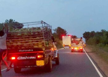 காட்டு யானையால் தடைப்பட்ட போக்குவரத்து