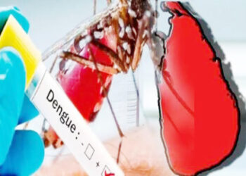 டெங்கு நோய் பரவல் : 22 பேர் உயிரிழப்பு!