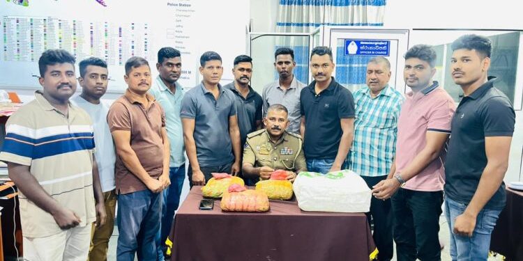 யாழ். நகரில் 6 -½ கேரள கஞ்சா மீட்பு : ஒருவர் கைது!