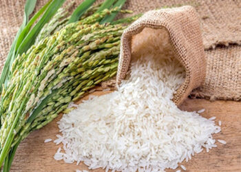 பொன்னி சம்பா அரிசி இறக்குமதி!