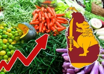 மரக்கறி விலையில் மாற்றம்!