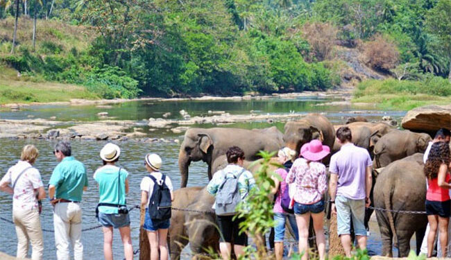 ஒக்டோபரில் குவிந்த சுற்றுலாப் பயணிகள்!