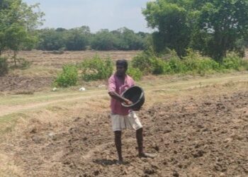 பெரும்போக நெற் செய்கை வவுனியாவில் ஆரம்பம்!