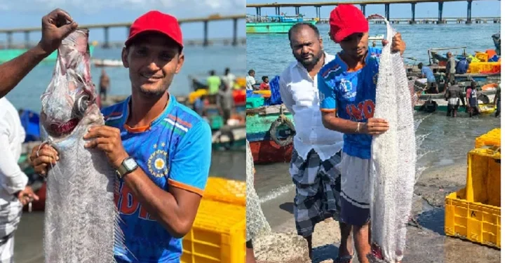 தமிழக மீனவர்களிடம் சிக்கிய அதிசய மீன்!