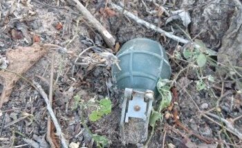 வெடிக்காத நிலையில் கைக்குண்டு!