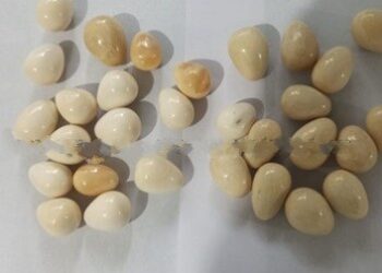 30 கோடி பெறுமதியான பொக்கிஷங்கள் மீட்பு!