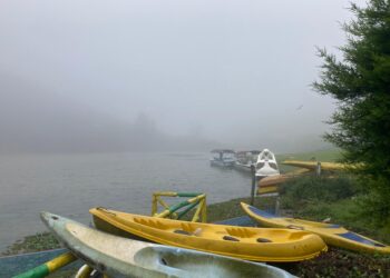 நுவரெலியாவில் பனிமூட்டம் – சாரதிகளுக்கு எச்சரிக்கை!