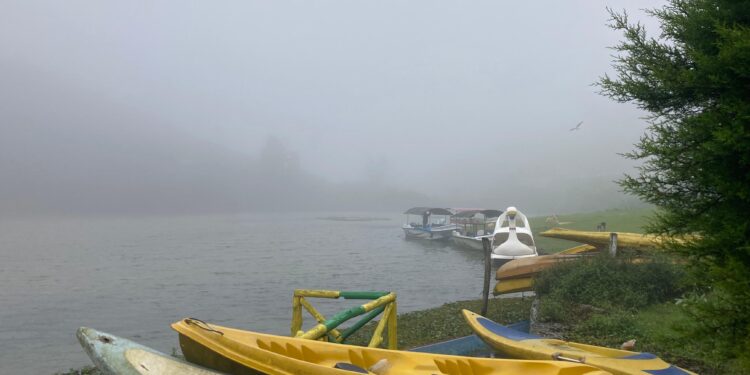 நுவரெலியாவில் பனிமூட்டம் – சாரதிகளுக்கு எச்சரிக்கை!