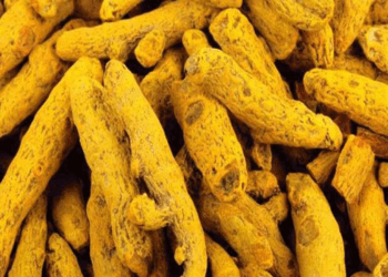 சட்டவிரோதமாக இறக்குமதி செய்யப்பட்ட மஞ்சள் மற்றும் கிரீம்களுடன் ஒருவர் கைது!