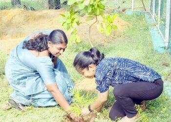 மரநடுகை!