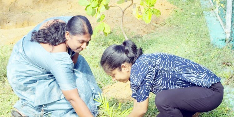 மரநடுகை!