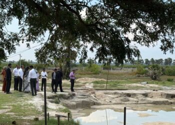 செம்மணி மனிதப் புதைகுழிக்கு 2 மில்லியன்!