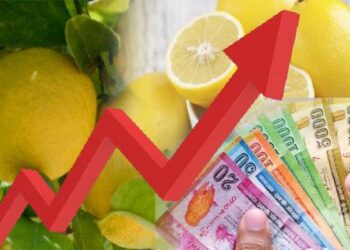 உச்சத்தைத் தொட்ட தேசிக்காய்!